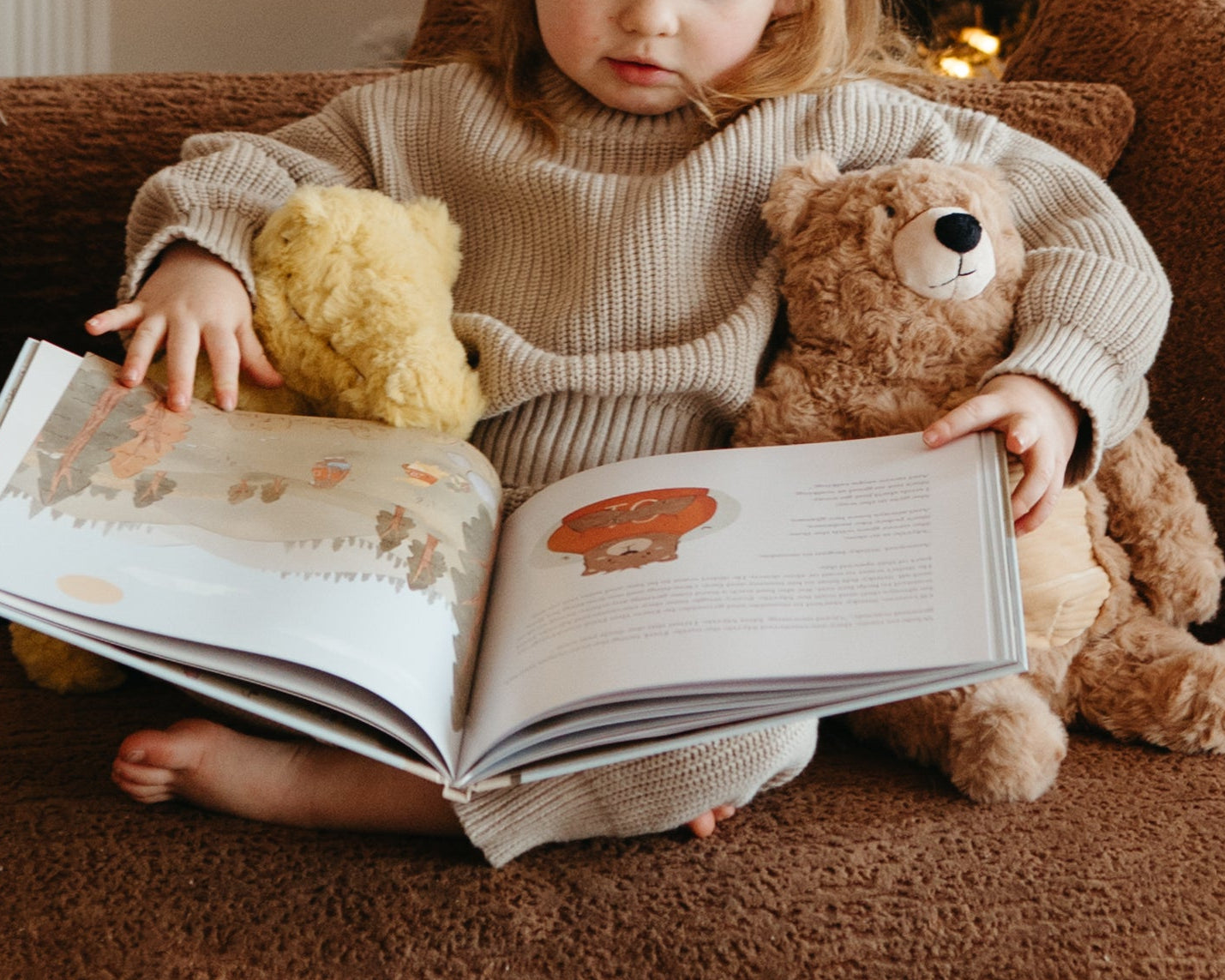 The misAdventures of Fred and Stinky Bear