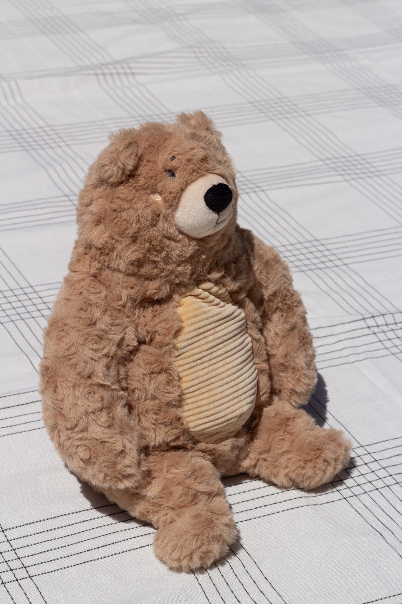 Stinky Bear Plush